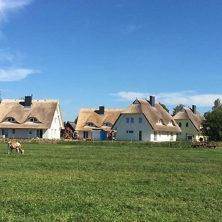 Reetdachhaeuser Boergerende Exterior photo